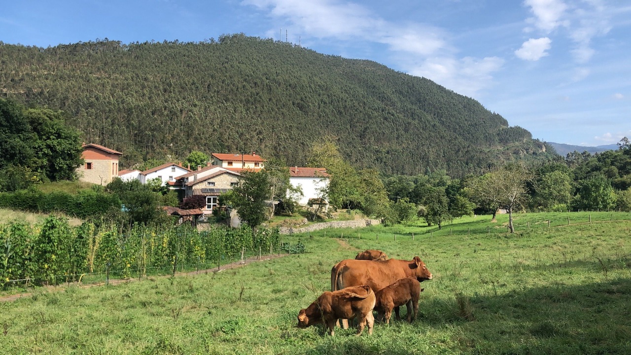 Photo of Outdoor in El Barcenal