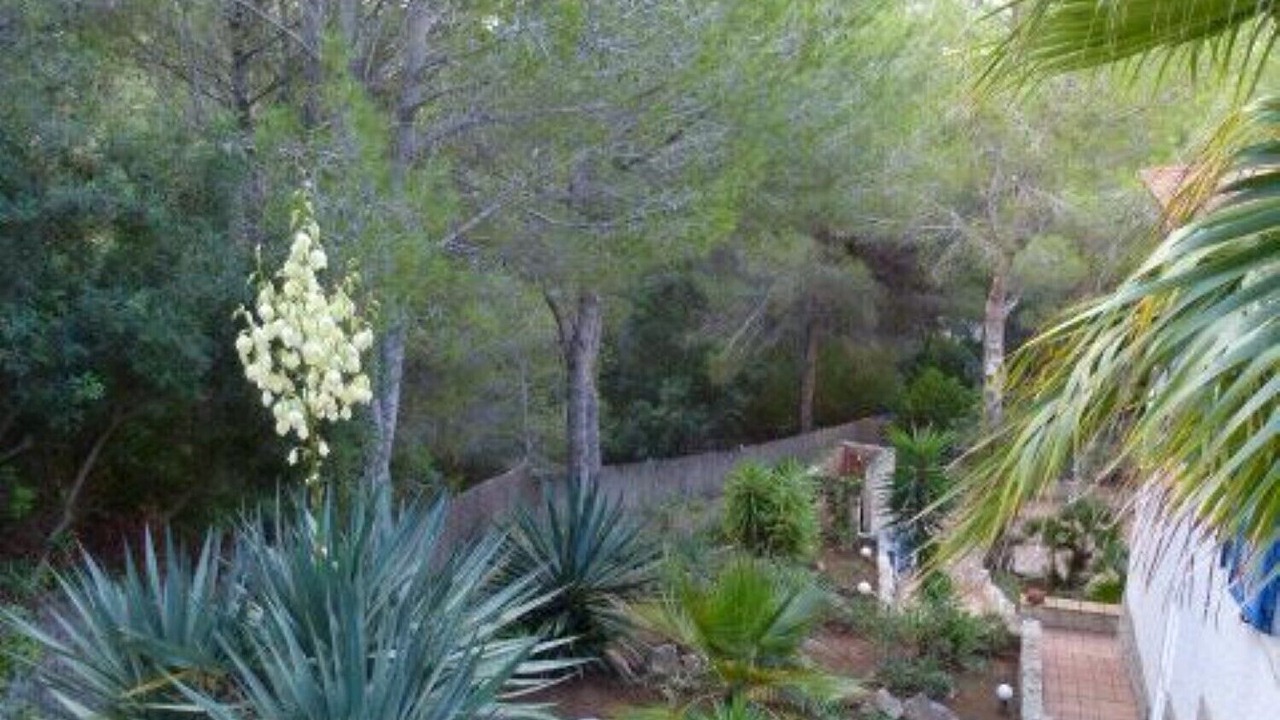 Photo of Outdoor in Costa de la Calma