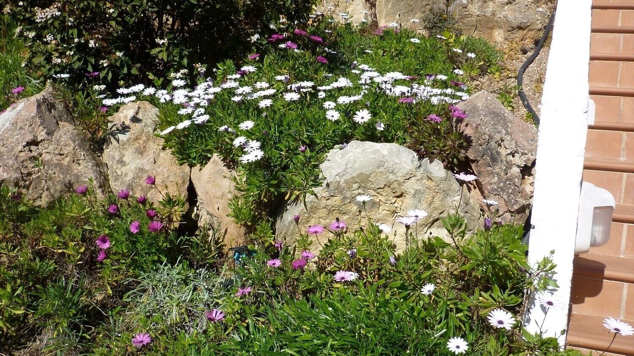 Photo of Outdoor in Costa de la Calma