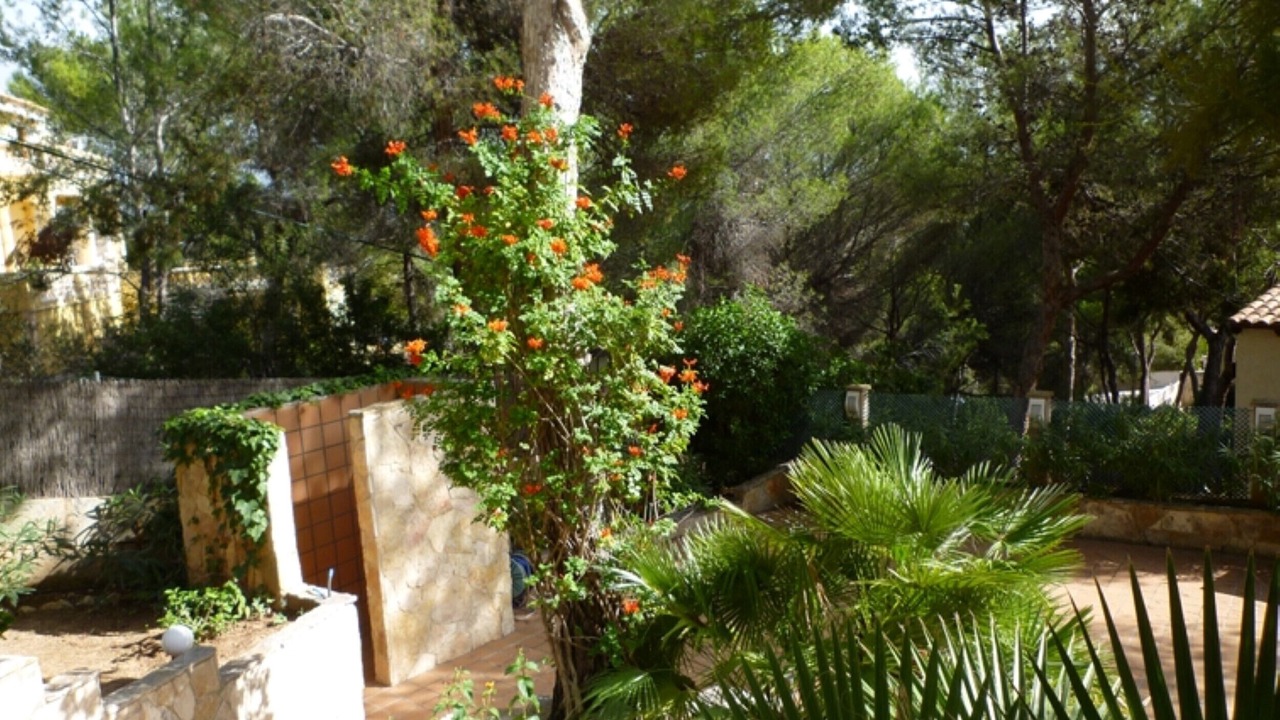 Photo of Outdoor in Costa de la Calma