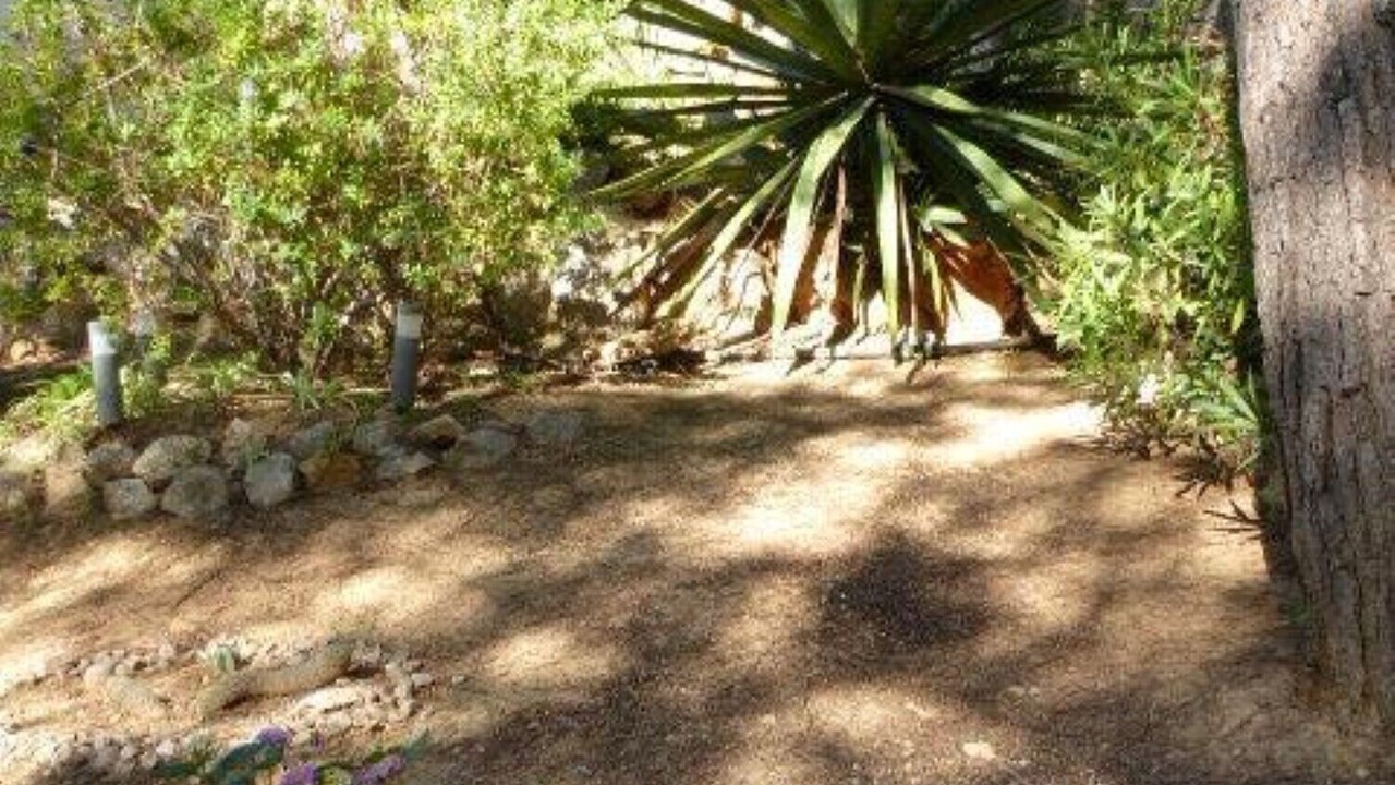 Photo of Outdoor in Costa de la Calma
