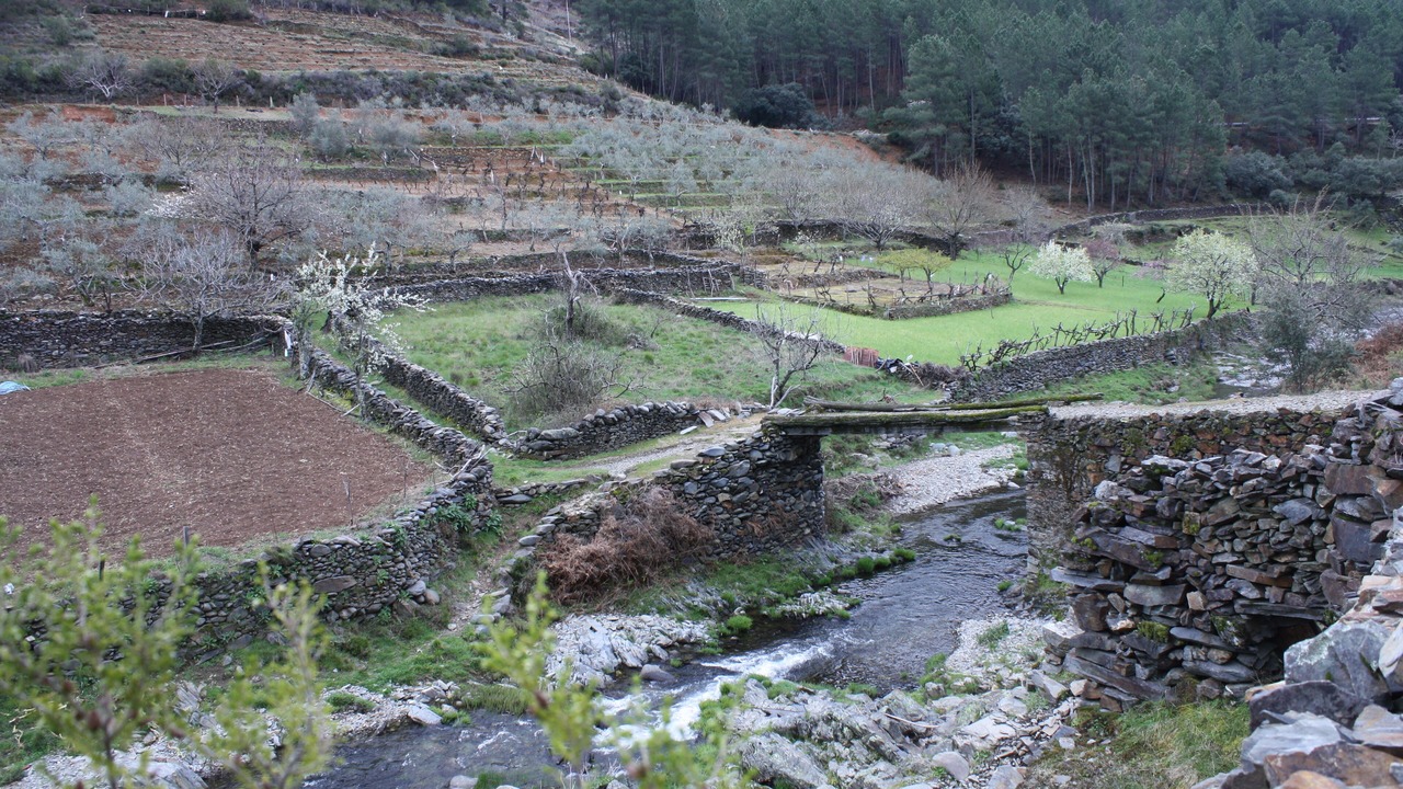 Photo of Outdoor in Erias