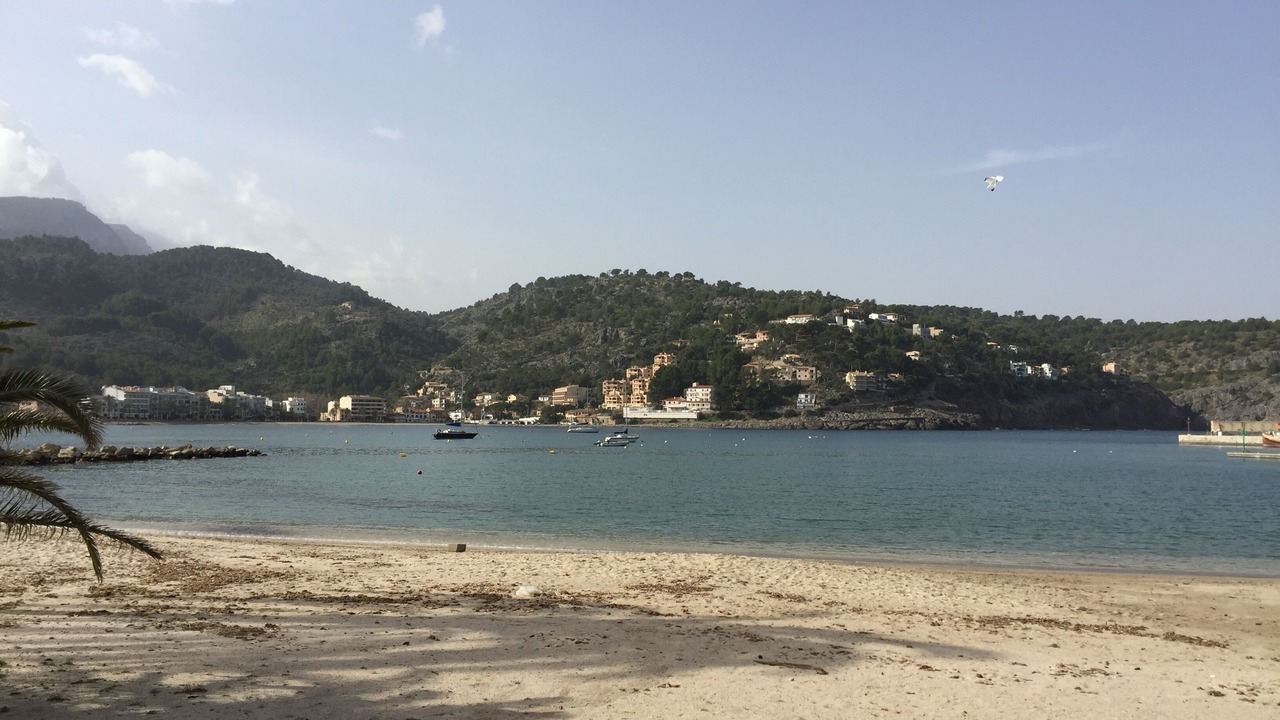 Photo of Others in Puerto de Soller