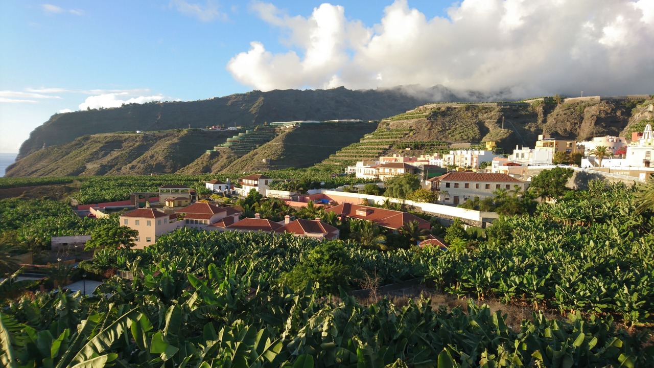 Photo of Outdoor in Tazacorte