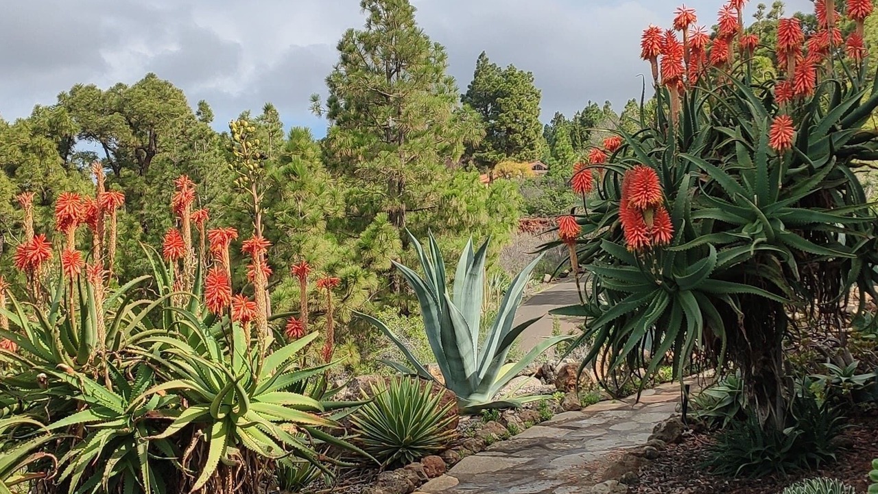 Photo of Outdoor in Puntagorda