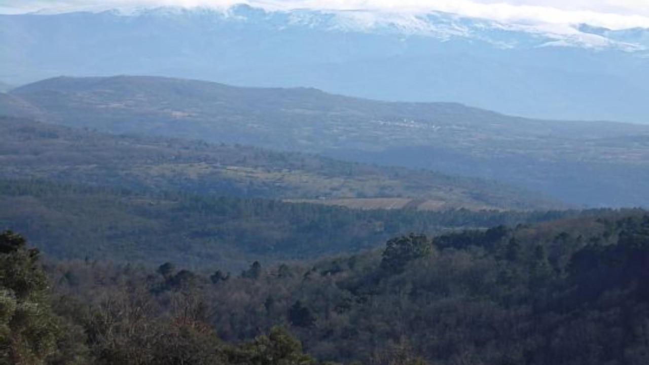 Photo of Others in Mogarraz