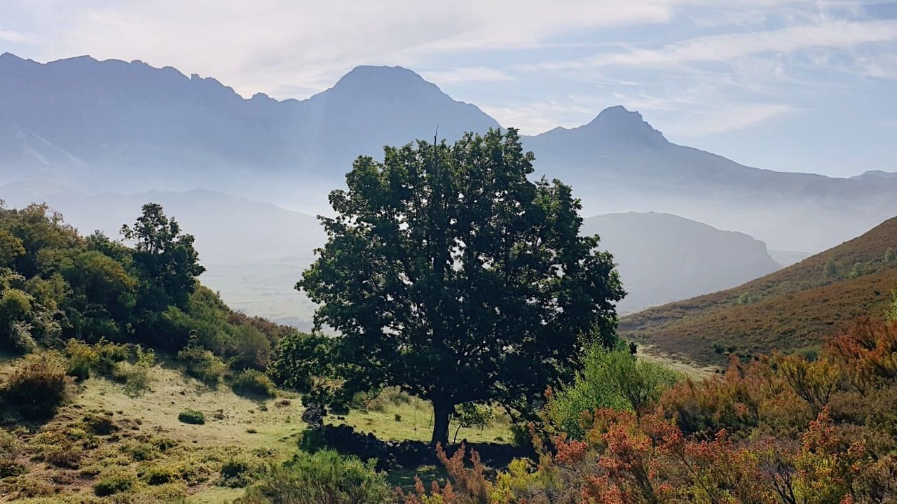 Photo of Outdoor in San Emiliano