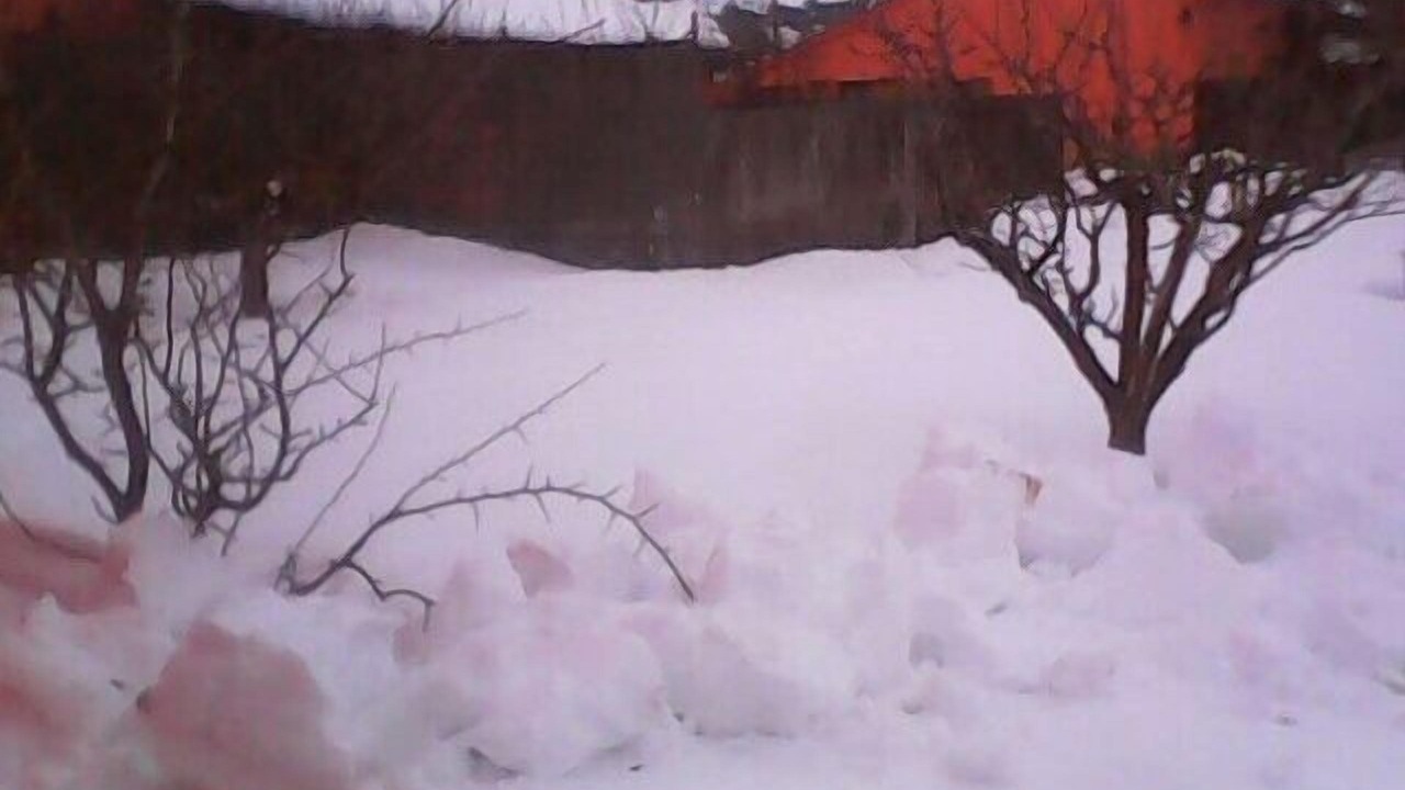 Photo of Outdoor in Castrejon de la Pena