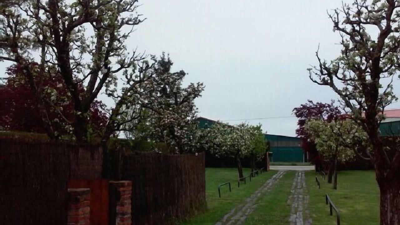 Photo of Outdoor in Castrejon de la Pena
