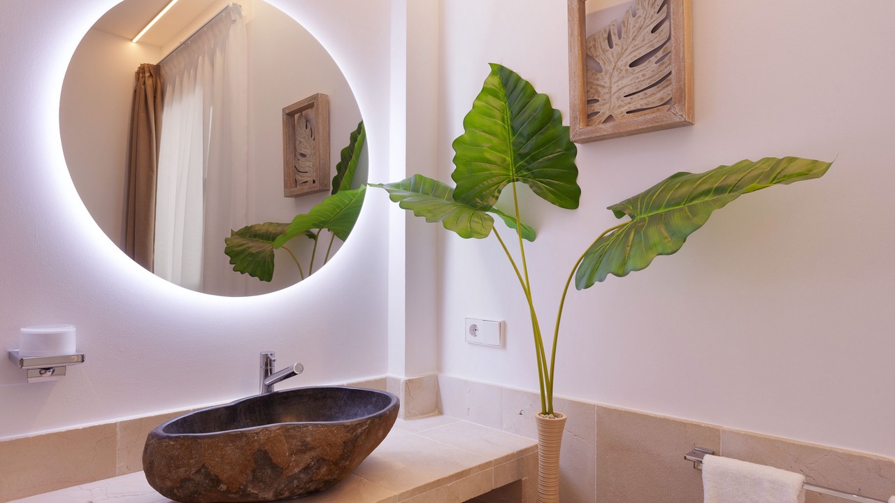 Photo of Bathroom in Establiments