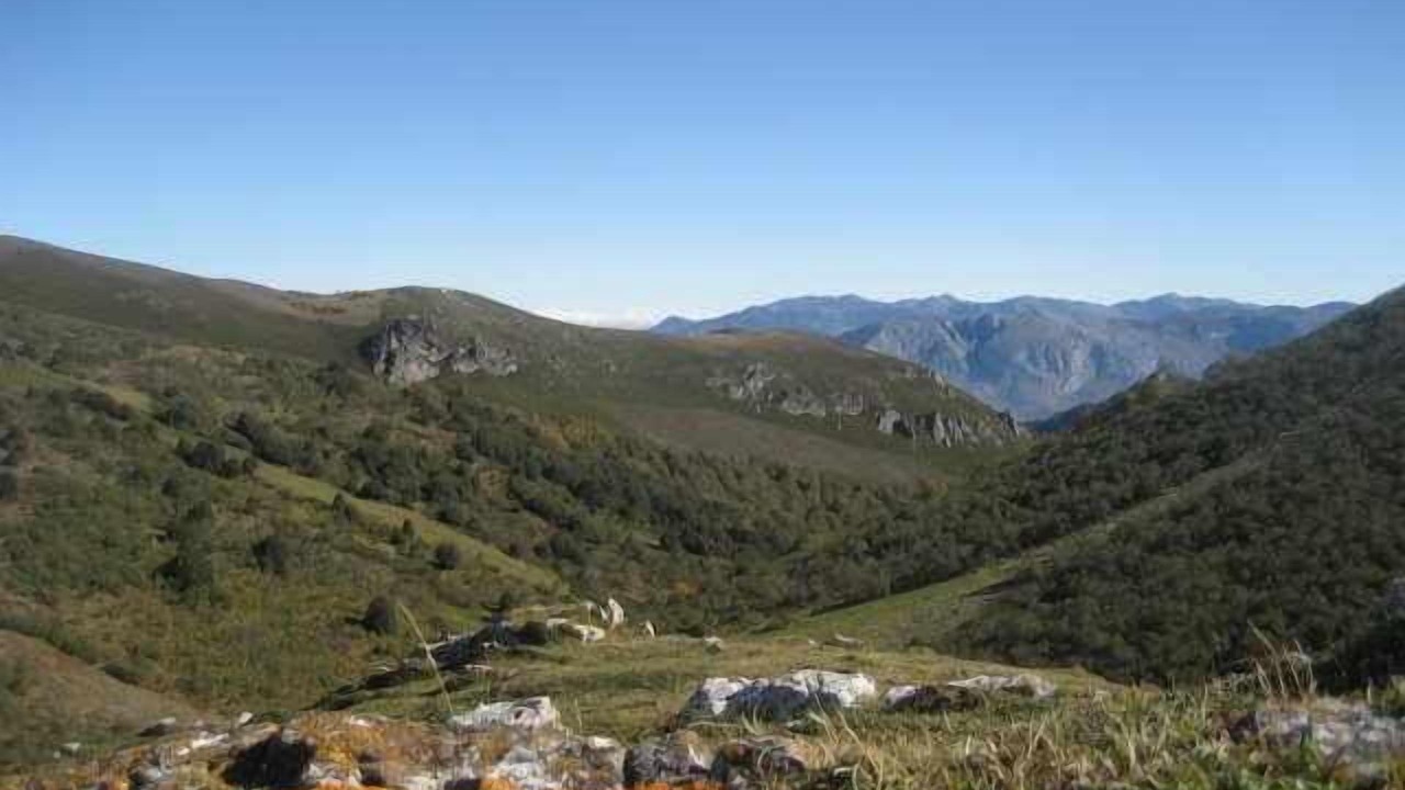Photo of Outdoor in Vigidel