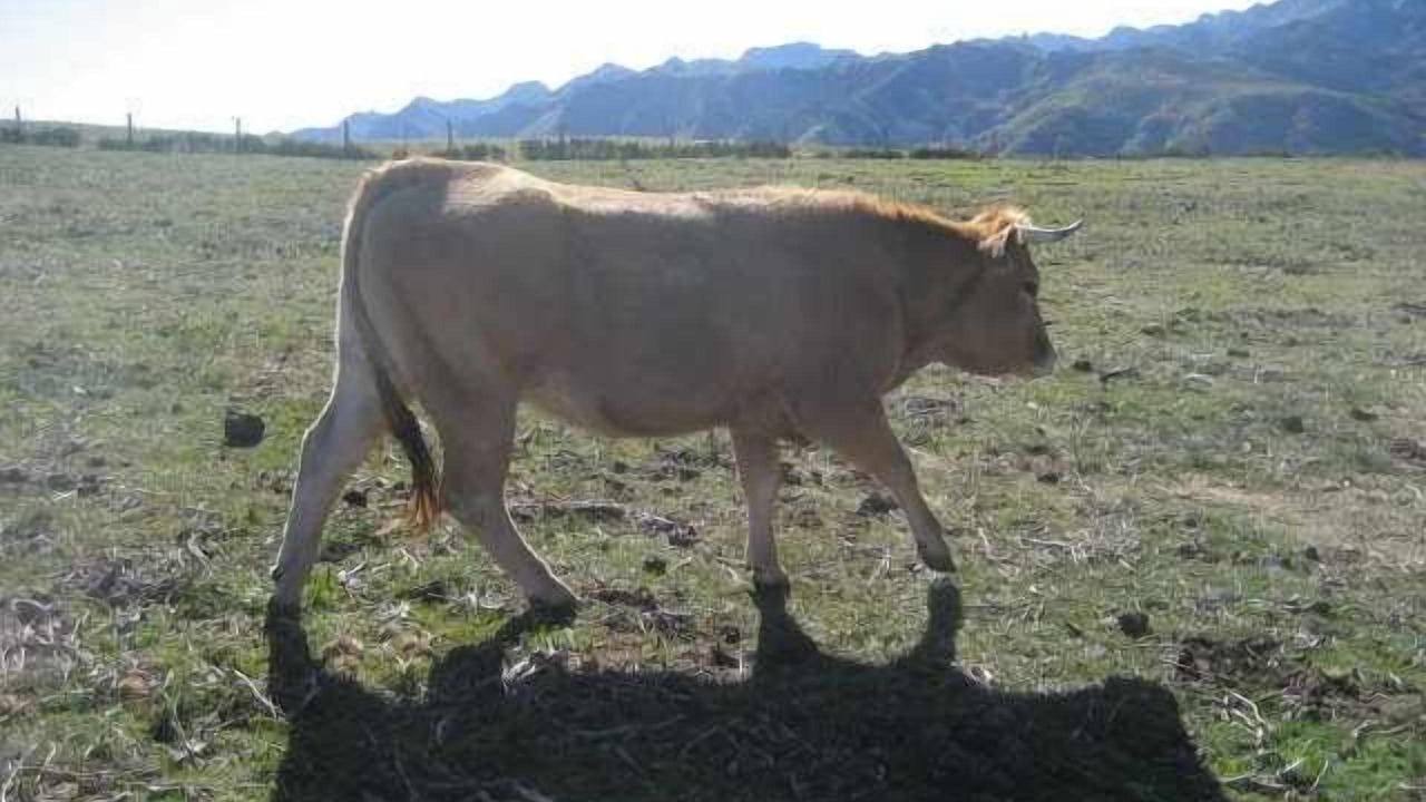 Photo of Outdoor in Vigidel