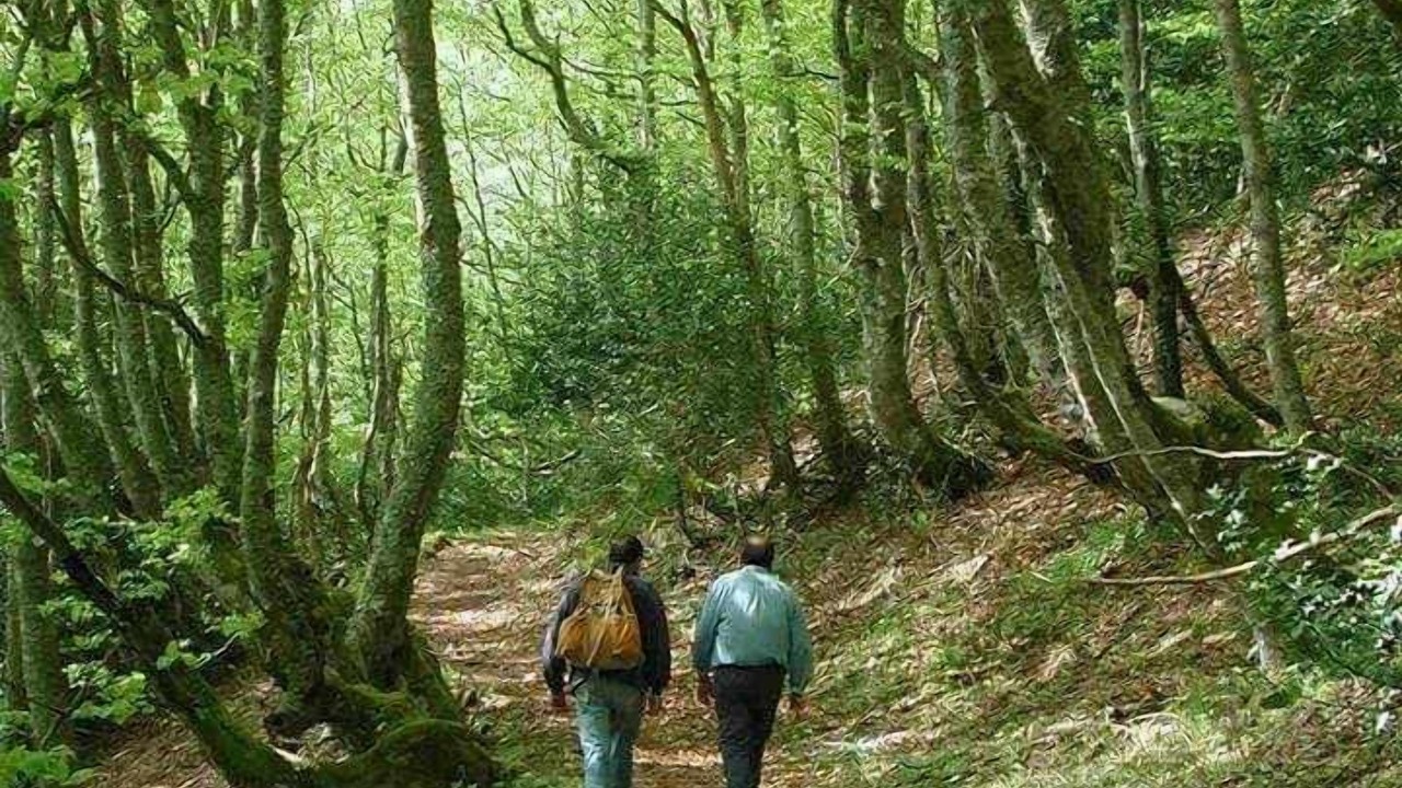 Photo of Outdoor in Vigidel