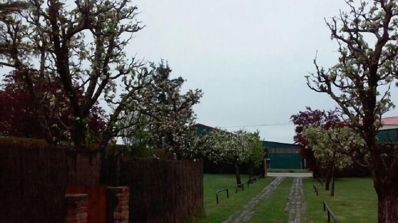 Photo of Outdoor in Castrejon de la Pena