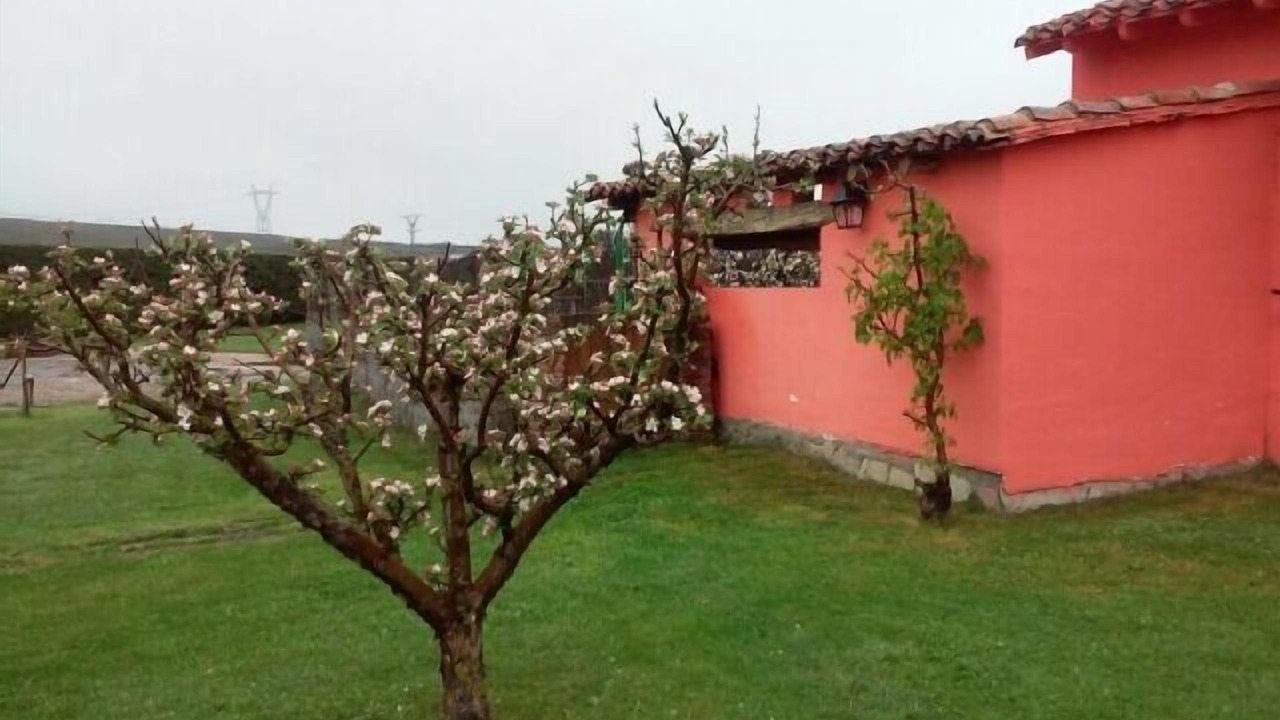 Photo of Outdoor in Castrejon de la Pena