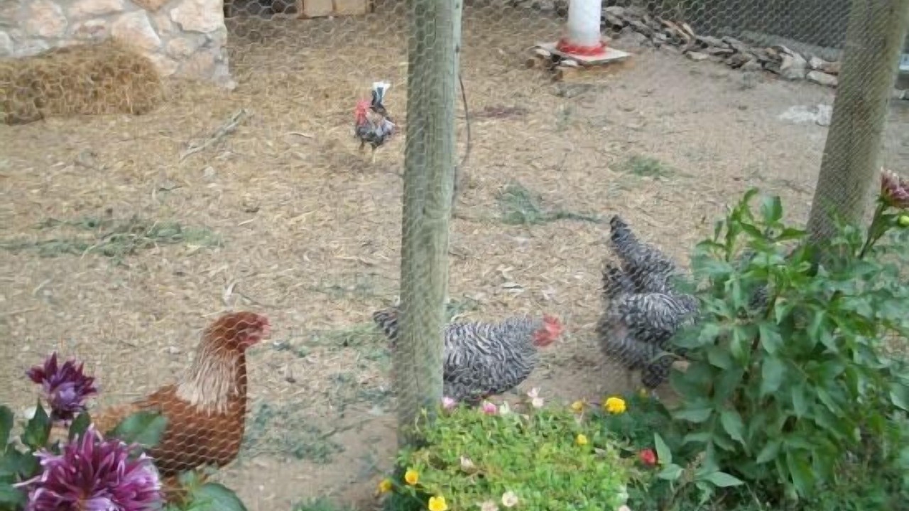 Photo of Outdoor in Figuerola del Camp
