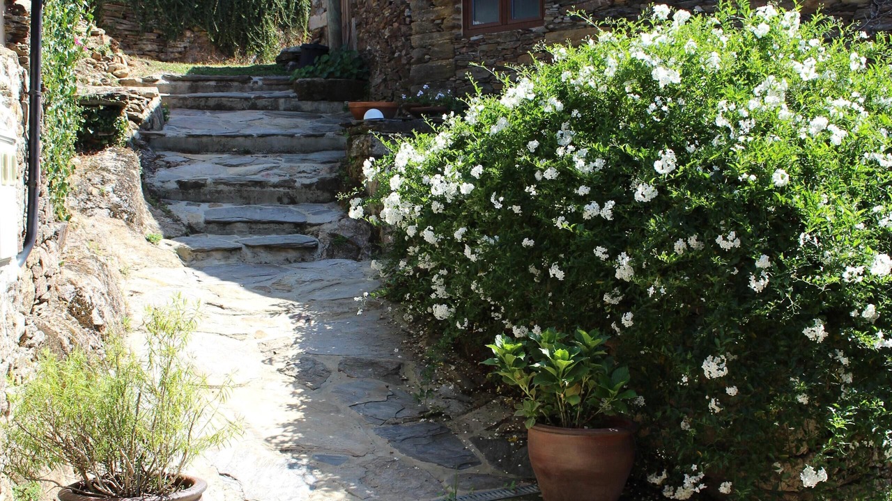 Photo of Outdoor in Panton