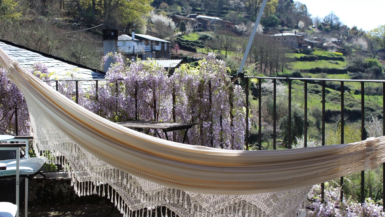 Photo of Outdoor in Panton