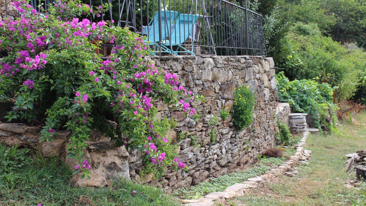 Photo of Outdoor in Panton