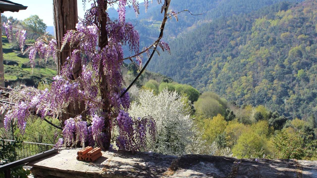 Photo of Outdoor in Panton