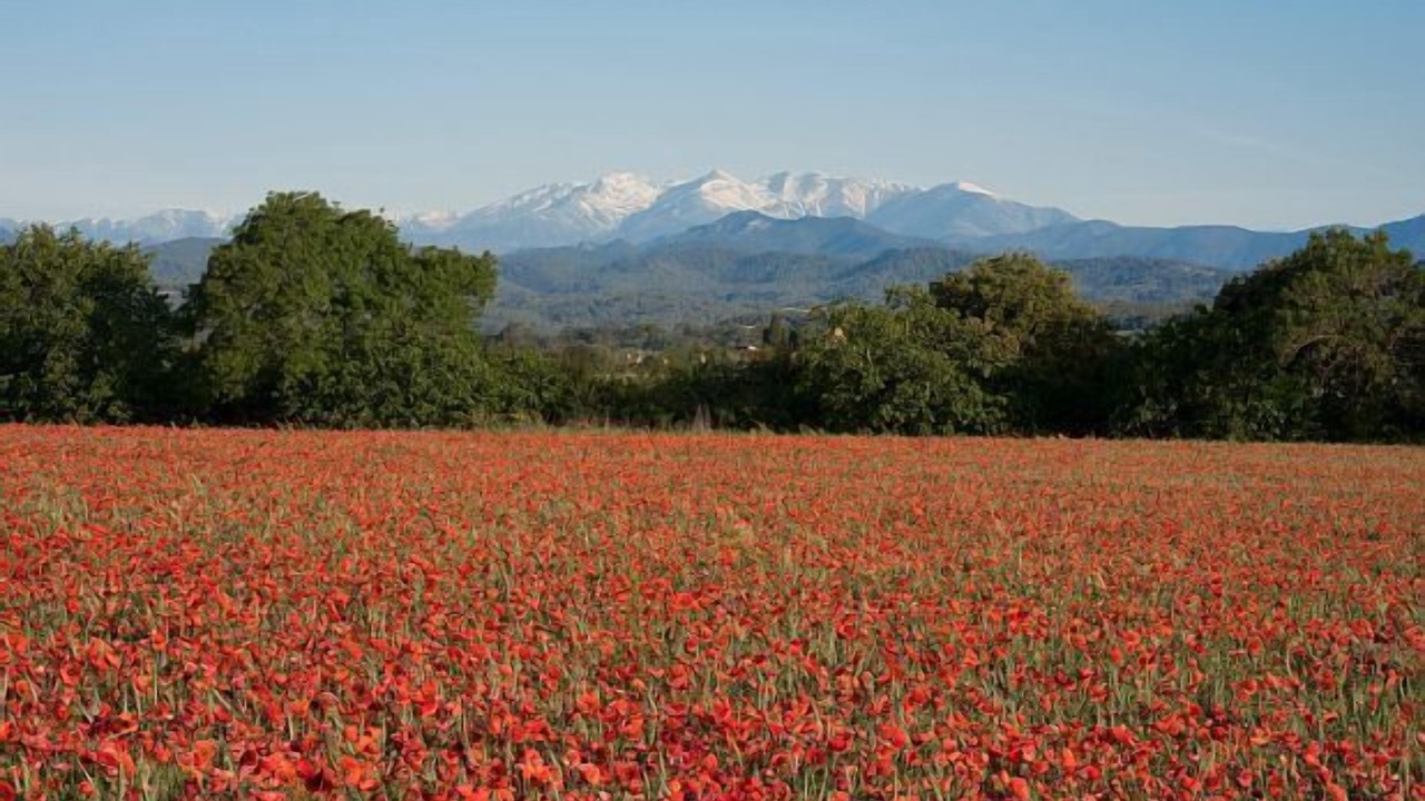 Photo of Outdoor in Vilanant
