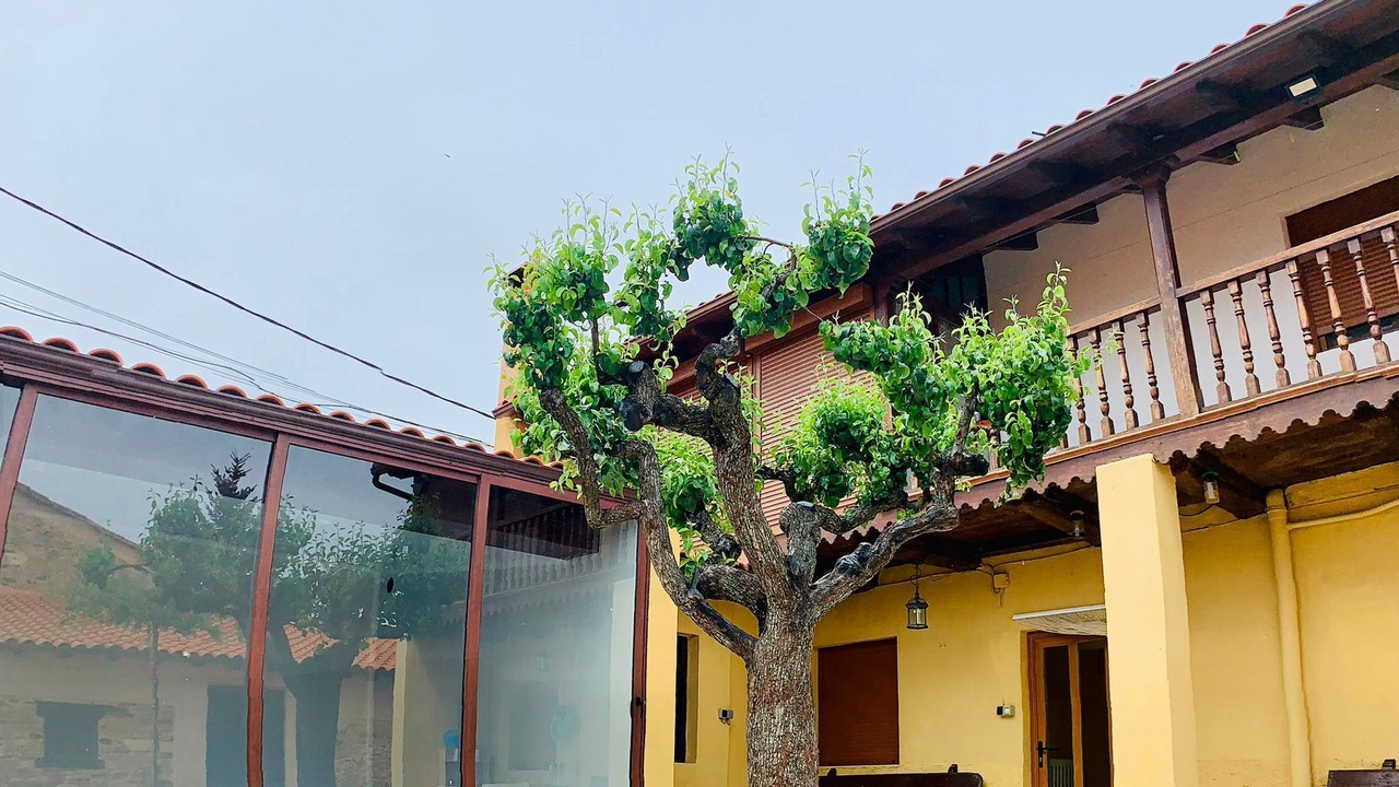 Photo of Outdoor in Valdespino de Somoza