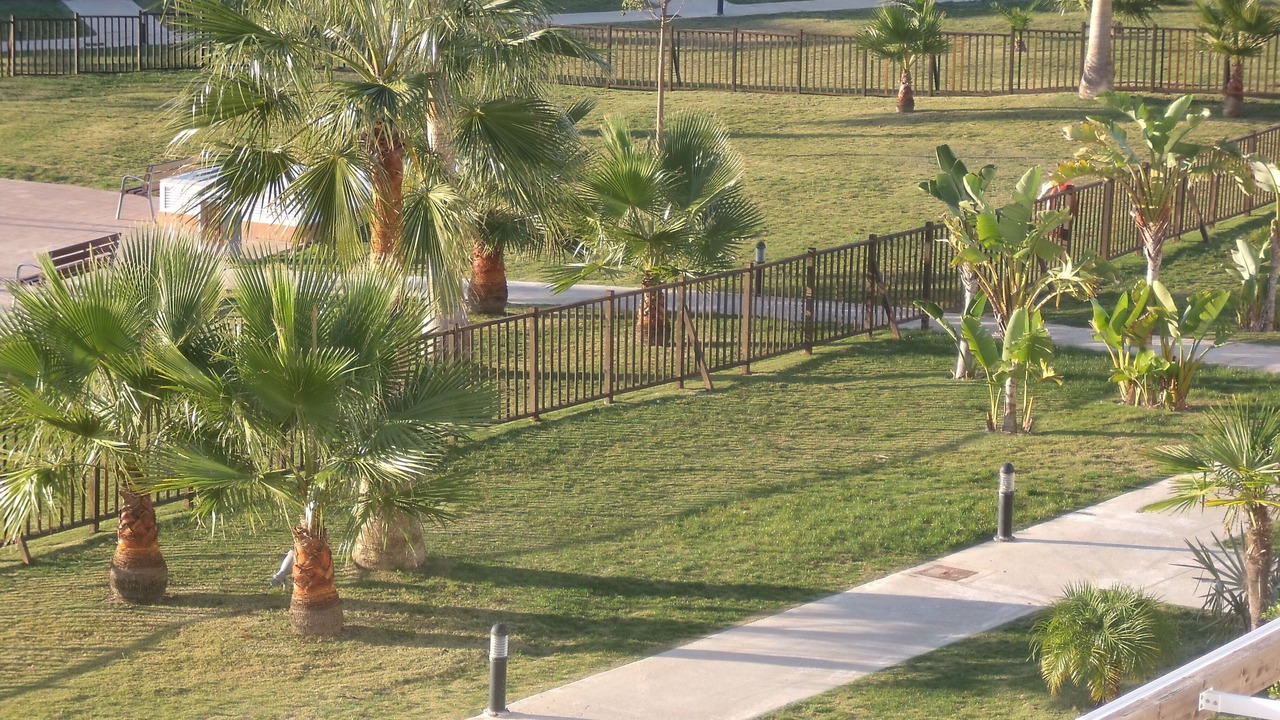 Photo of Outdoor in Alhama de Murcia
