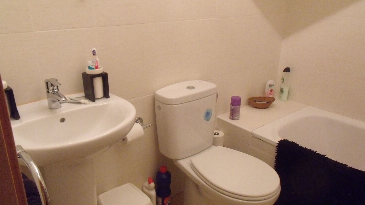 Photo of Bathroom in Alhama de Murcia