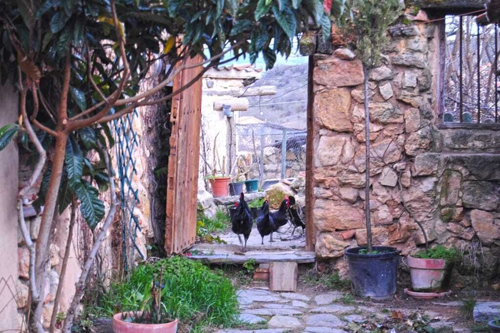 Photo of Outdoor in Adrada de Piron