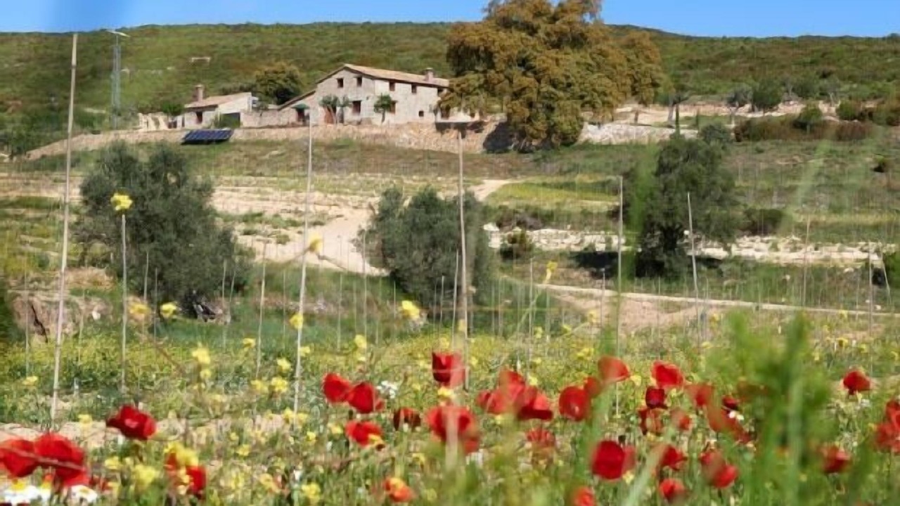 Photo of Outdoor in Enguera