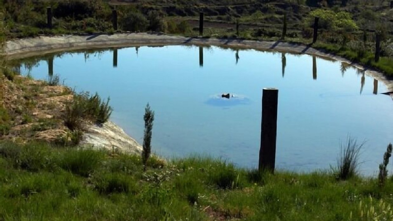 Photo of Others in Enguera