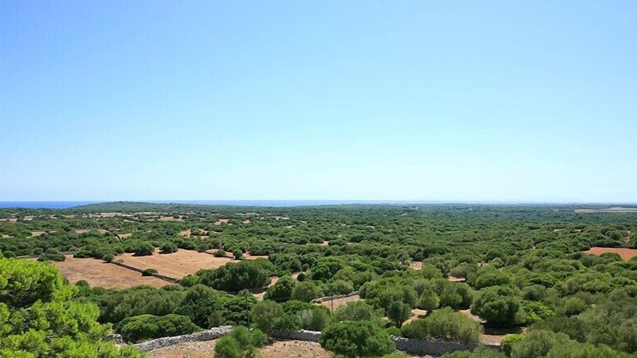 Photo of Others in Area metropolitana de Ciutadella