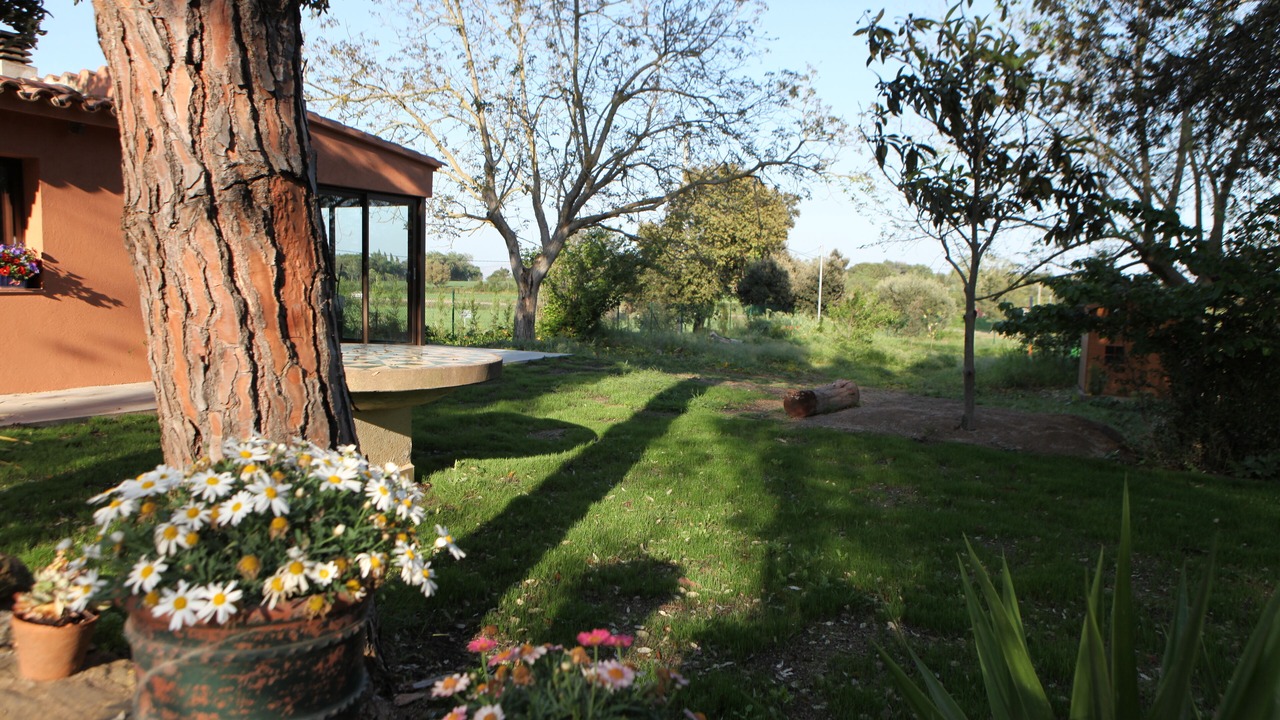 Photo of Patio Balcony in Pedrinya