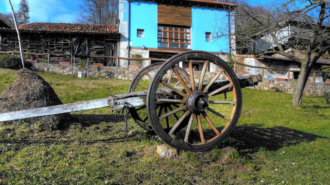 Photo of Outdoor in Sorribas
