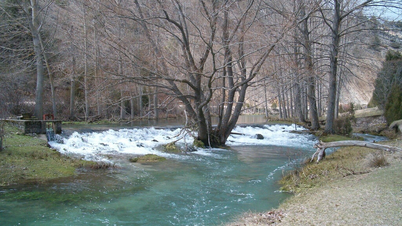 Photo of Others in Muriel de la Fuente