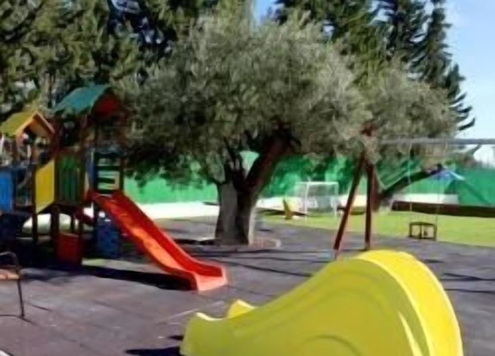 Photo of Others in Moratalla