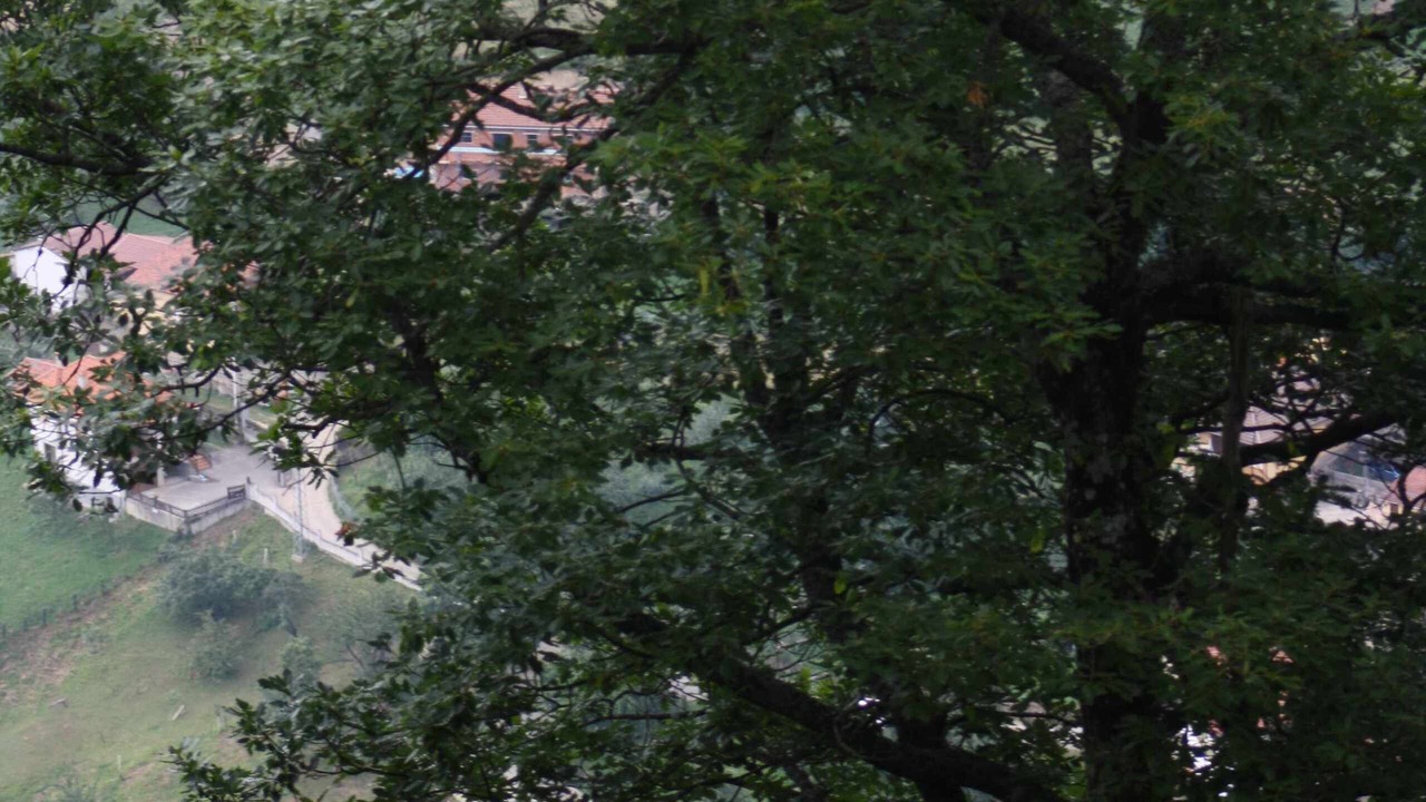 Photo of Outdoor in Vigidel