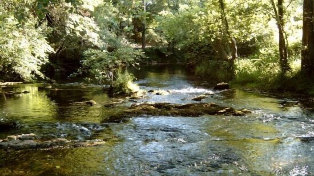 Photo of Outdoor in Barcena de Cicero