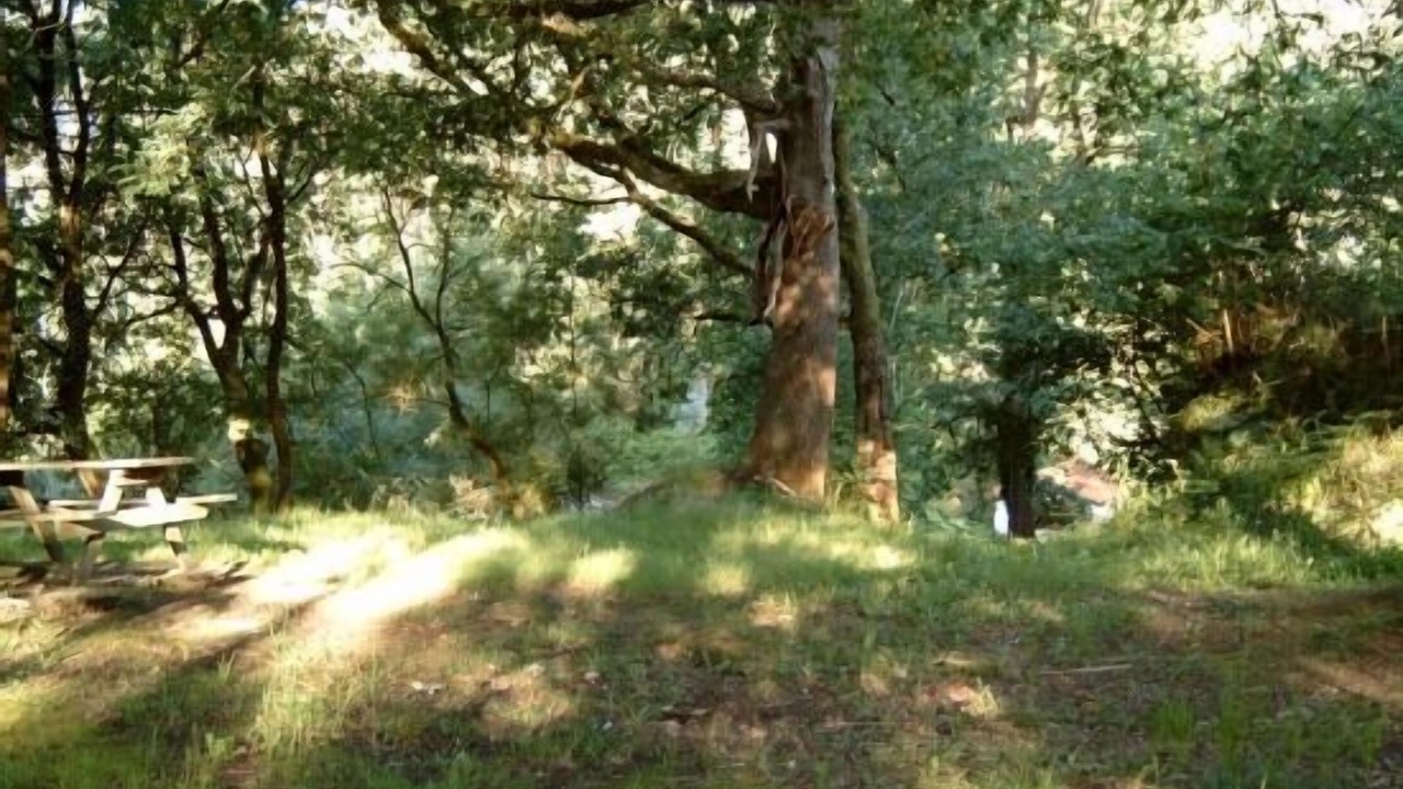 Photo of Outdoor in Barcena de Cicero