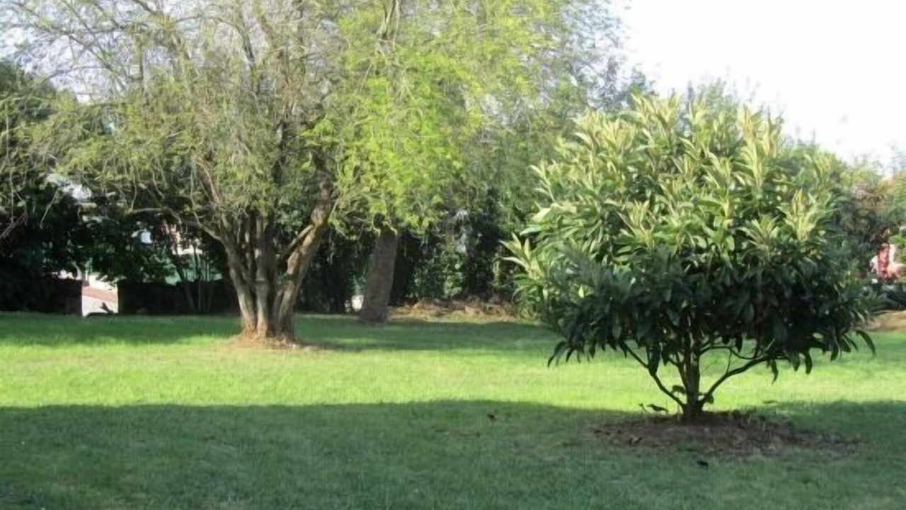 Photo of Outdoor in Barcena de Cicero