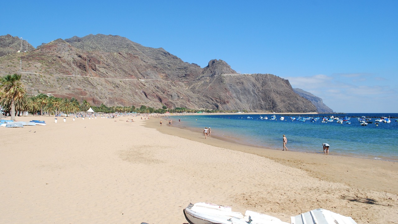 Photo of Others in Santa Cruz de Tenerife