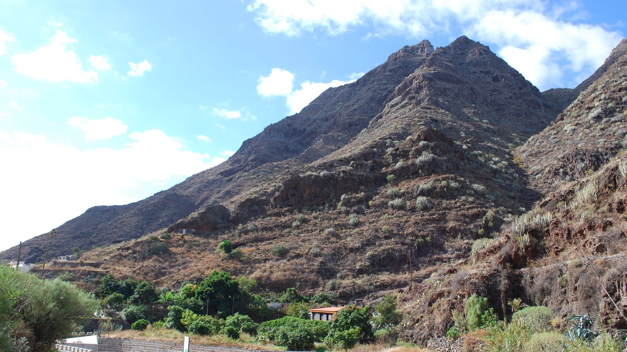 Photo of Outdoor in Santa Cruz de Tenerife