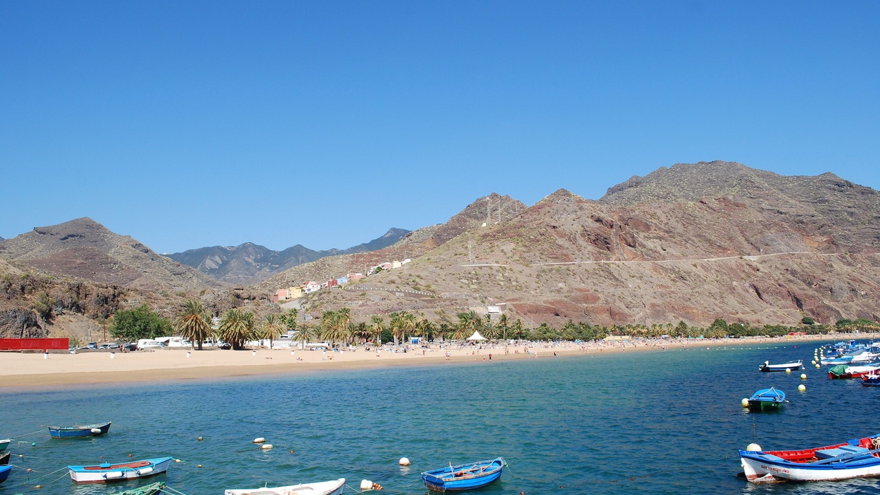 Photo of Others in Santa Cruz de Tenerife