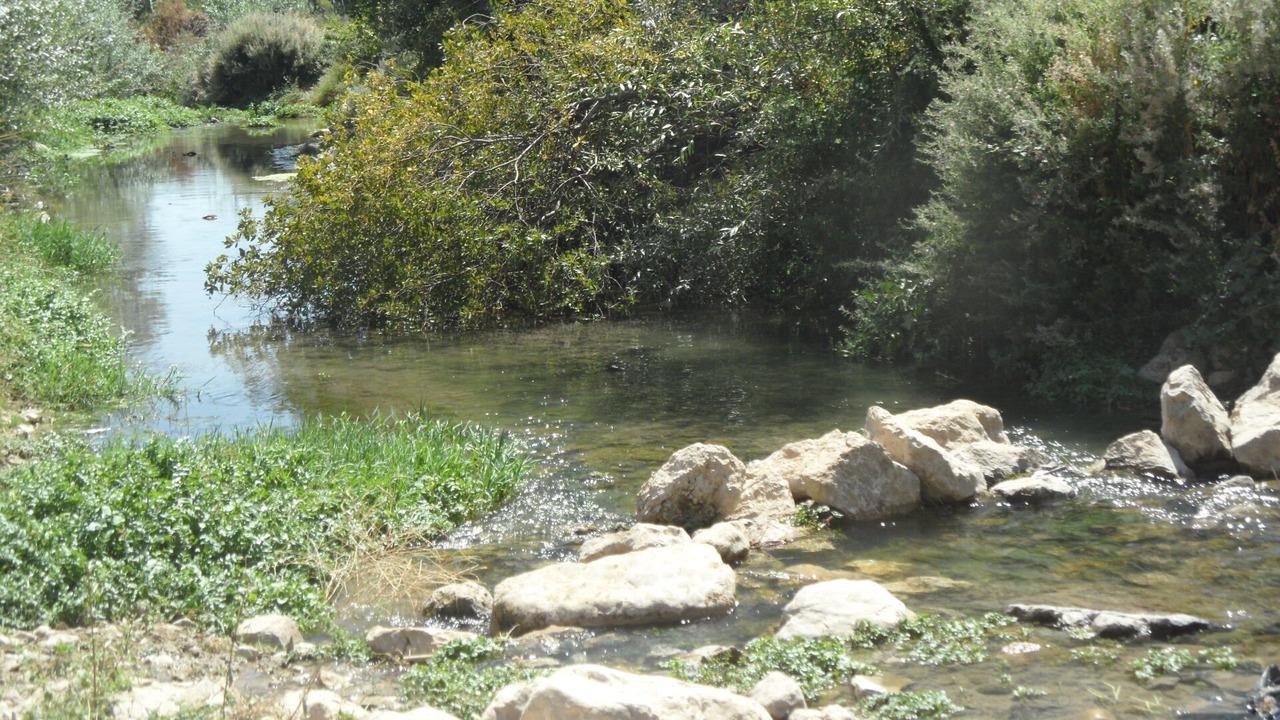 Photo of Outdoor in Colomera