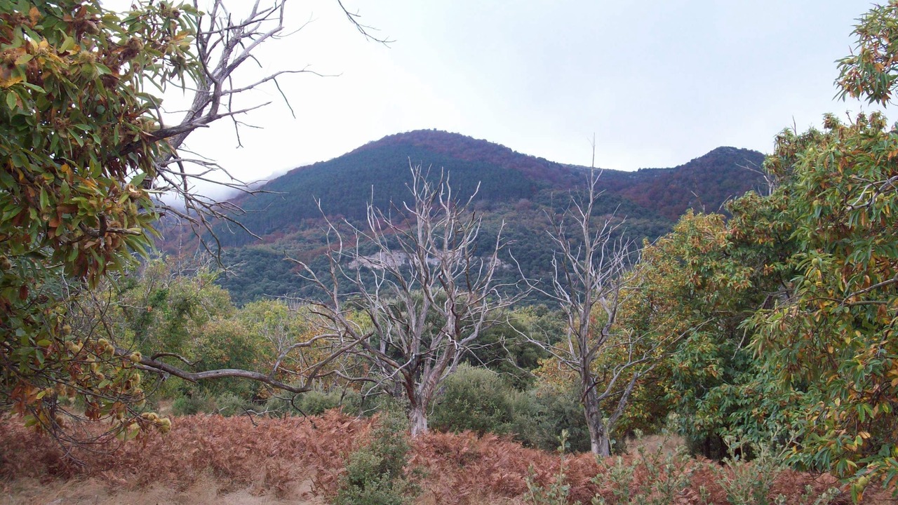 Photo of Outdoor in Genevilla