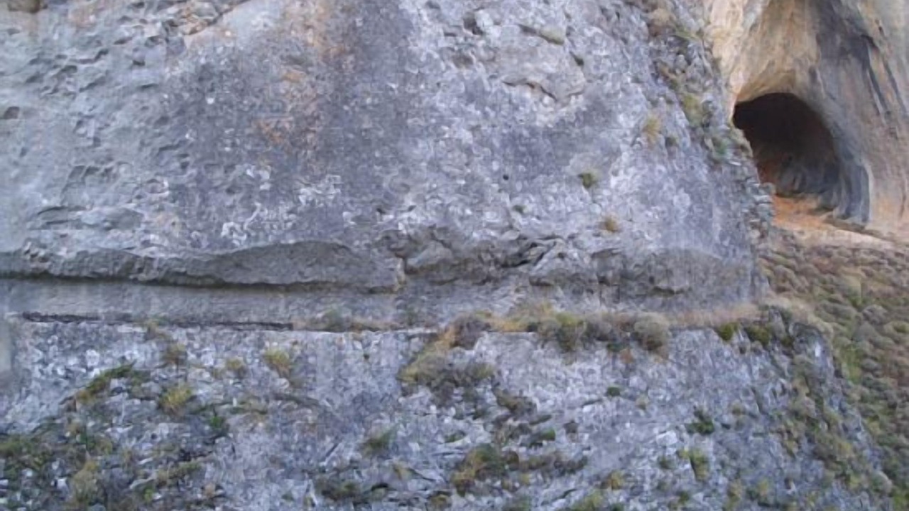 Photo of Others in Tejada