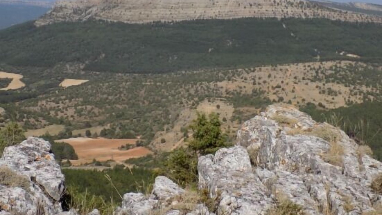 Photo of Outdoor in Tejada