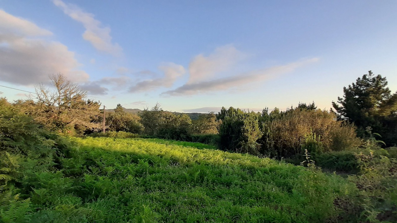 Photo of Outdoor in Nogueira de Ramuin