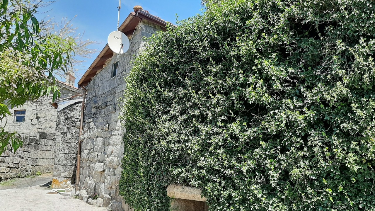 Photo of Outdoor in Nogueira de Ramuin