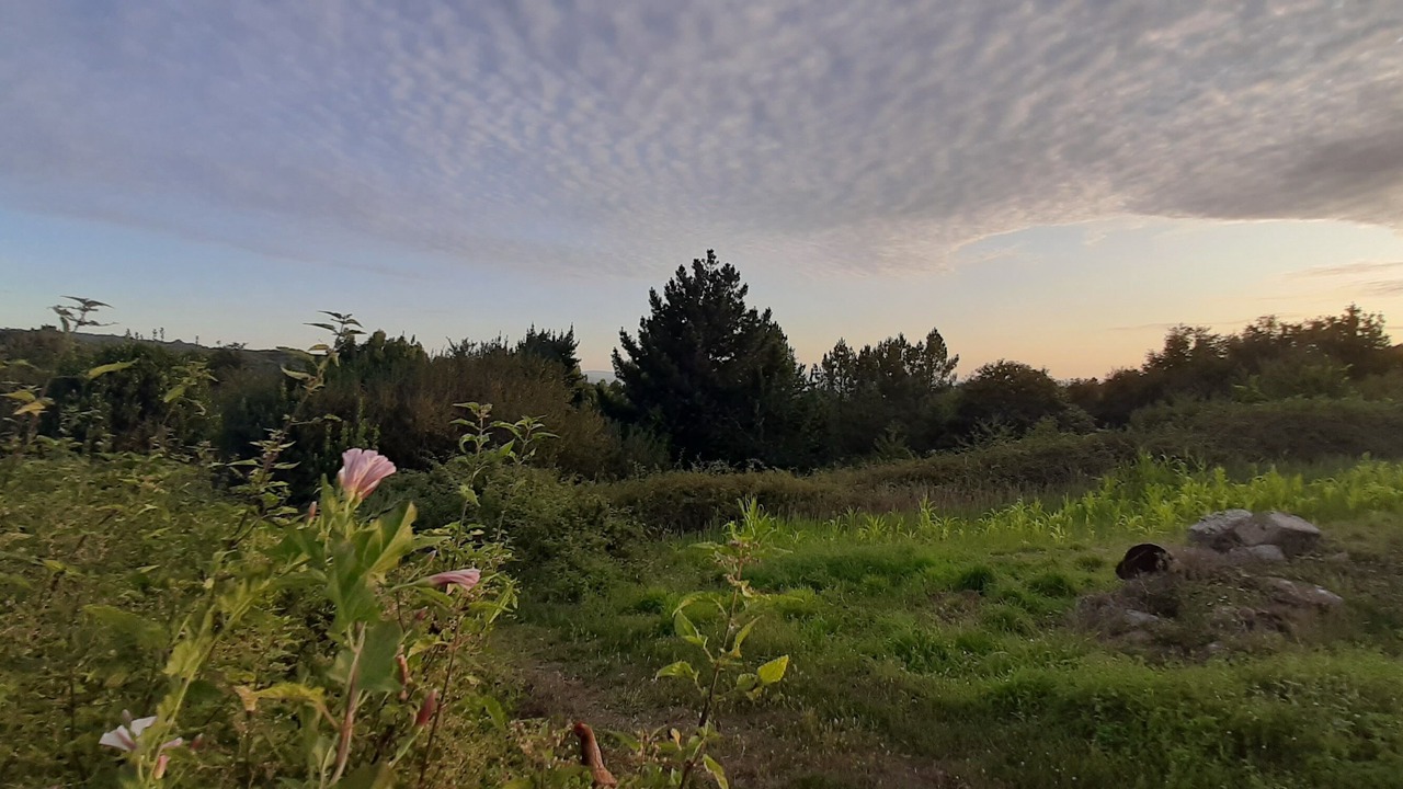 Photo of Outdoor in Nogueira de Ramuin